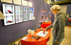 The image shows a purple wall on the left, with various bords filled with little images and informative texts. In the middel there is an orange, halfmoon-shaped table with different items such as an overhead-camera, a toy dog and other unspecific items on it. On the right there is a woman. She is holding an item underneth the camera. 

Image: Anne Faden